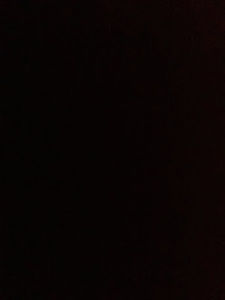 Meet your Posher, Jinnie